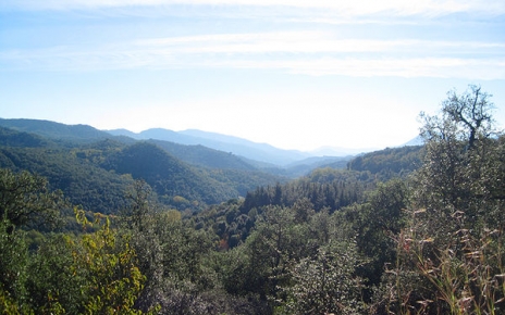 Atardecer en Montseny